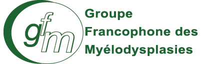 GFMgroup